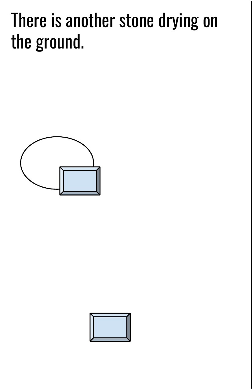 Section 7